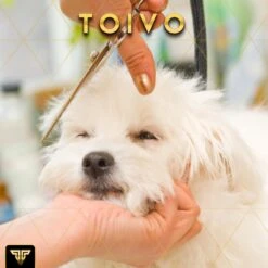 Toivo Schaar Voor Dieren - Zilver - Effileerscharen - Honden Scharenset - Dierenschaar - Set 5 Stuks - Trimscharen - Trimset - Uitdunschaar Hond - Schaar Honden -Hondenbenodigdheden 1200x1200 336