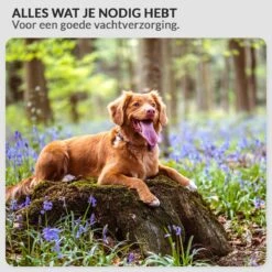 Krachtige Hondenföhn/ Waterblazer Met Draaiknop Om Overtollig Water En Stof Snel Uit De Vacht Te Blazen | Verstelbare Vermogen Standen (500W Tot 2200W) En Verstelbare Temperatuur - Type B Oranje -Hondenbenodigdheden 1200x1200 344