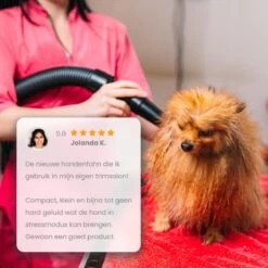 Qumax Professionele Hondenföhn Met 4 Opzetstukken – Waterblazer Voor Honden – Stil Design – Compact En Modern - Zwart -Hondenbenodigdheden 1200x1200 355