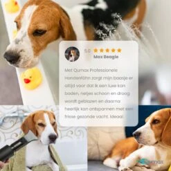 Qumax Professionele Hondenföhn Met 4 Opzetstukken – Waterblazer Voor Honden – Stil Design – Compact En Modern - Zwart -Hondenbenodigdheden 1200x1200 357