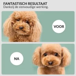 Hondenföhn/Waterblazer - Verstelbare Vermogen Standen (500W Tot 2400W) En Verstelbare Temperatuur - Zwart -Hondenbenodigdheden 1200x1200 361