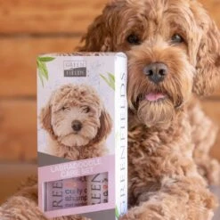 Greenfields Labradoodle Vacht Verzorgingsset - Shampoo En Anti-Klit Spray Voor Langharige Of Krullende Vacht -Hondenbenodigdheden 1200x1200 387