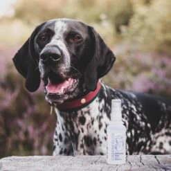 Hondenparfum Spray In 4 Geuren - Greenfields - Alchoholvrije En PH Neutrale Formule Tegen Onaangename Geurtjes - 50ml - Exotic -Hondenbenodigdheden 1200x1200 404