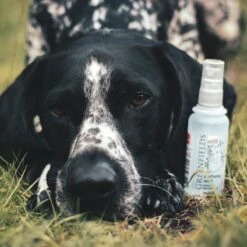 Hondenparfum Spray In 4 Geuren - Greenfields - Alchoholvrije En PH Neutrale Formule Tegen Onaangename Geurtjes - 50ml - Wild -Hondenbenodigdheden 1200x1200 412