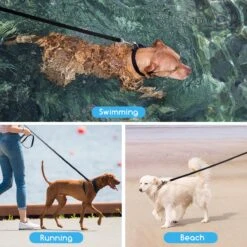 Nobleza Trainingslijn - Longeerlijn - Sleeplijn - Hondenlijn - Trainingslijn Hond - Speurlijn - 10 Meter - Zwart -Hondenbenodigdheden 1200x1200 421