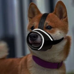 Merkloos Hoog Kwaliteit Muilkorf Met Bedrukt Patroon - Muilkorf Hond - Hondensnuit - Anti Blaf En Bijt - Voor Kleine En Grote Honden Maat M Zwart Reflecterend -Hondenbenodigdheden 1200x1200 431