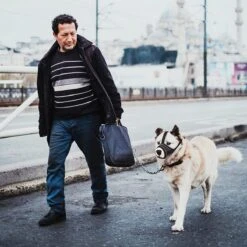 Merkloos Hoog Kwaliteit Muilkorf Met Bedrukt Patroon - Muilkorf Hond - Hondensnuit - Anti Blaf En Bijt - Voor Kleine En Grote Honden Maat M Zwart Reflecterend -Hondenbenodigdheden 1200x1200 432