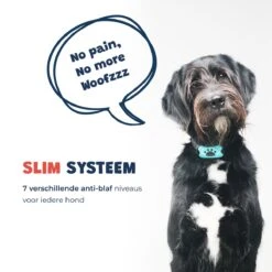 Anti Blafband - Blafband Voor Honden - Anti Blaf Apparaat - Blafband - Diervriendelijk & Zonder Schok -Hondenbenodigdheden 1200x1200 491