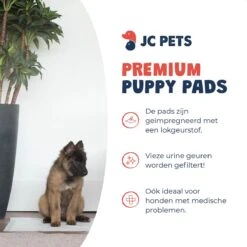 JC Pets Premium Puppy Training Pads - Hondentoilet - Zindelijkheidstraining Hond - 100 Stuks - 60 X 45 Cm -Hondenbenodigdheden 1200x1200 523