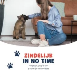 JC Pets Premium Puppy Training Pads - Hondentoilet - Zindelijkheidstraining Hond - 50 Stuks - 60 X 45 Cm -Hondenbenodigdheden 1200x1200 532