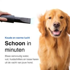 Vivid Green Waterblazer Met 3 Opzetstukken - Hondenfohn - Voor Honden - Met Geluiddemper - 2800W -Hondenbenodigdheden 1200x1200 54