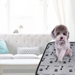 Jooba Puppy Training Pads - Wasbare Puppy Pads 2 Stuks - Hondentoilet - 70x50cm - Puppy 15 Jooba Puppy Training Pads - Wasbare Puppy Pads 2 Stuks - Hondentoilet - 70x50cm - Puppy -Hondenbenodigdheden 1200x1200 568