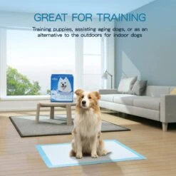 Nobleza 48WQF - Puppy Training Pads - 60 X 90 Cm - Zindelijkheidstraining -50 Stuks - L -Hondenbenodigdheden 1200x1200 571