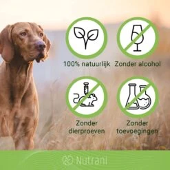 Nutrani Geurverwijderaar, 750 Ml, Natuurlijke Enzymreiniger Als Gebruiksklare Spray Met Biologische Werking, Verwijdert Geurtjes, Urine, Poep En Vlekken Van Honden En Katten -Hondenbenodigdheden 1200x1200 587