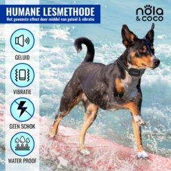 Nola & Coco® Oplaadbare Anti Blafband - 4 Kleuren - Zonder Schok - Waterdichte Diervriendelijke Blaf Halsband - Opvoedingshalsband - Voor Grote En Kleine Honden - Lichte Vibratie En Geluid - 3 Tot 60kg -Hondenbenodigdheden 1200x1200 591