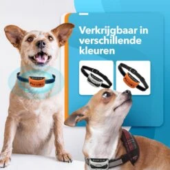 PET DOG® | Anti Blafband Voor Honden | 3 T/m 60 Kg | Oplaadbaar | Anti Blaf Band | Trainingsband | Vibratie En Geluid | Diervriendelijk | Shock Aan/uit Instelbaar 12 PET DOG® | Anti Blafband Voor Honden | 3 T/m 60 Kg | Oplaadbaar | Anti Blaf Band | Trainingsband | Vibratie En Geluid | Diervriendelijk | Shock Aan/uit Instelbaar -Hondenbenodigdheden 1200x1200 600