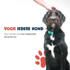 Anti Blafband - Blafband Voor Honden - Anti Blaf Apparaat - Blafband - Diervriendelijk & Zonder Schok 16 Anti Blafband - Blafband Voor Honden - Anti Blaf Apparaat - Blafband - Diervriendelijk & Zonder Schok -Hondenbenodigdheden 1200x1200 607