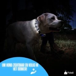 Fideli Anti Blafband - Zonder Schok - Grote En Kleine Honden - Oplaadbaar - LED Verlichte Band -Hondenbenodigdheden 1200x1200 618