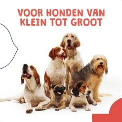 JC Pets Ultrasone Anti Blaf Apparaat Voor Kleine En Grote Honden - Oplaadbaar - Alternatief Anti Blafband Voor Honden - Diervriendelijk & Zonder Schok -Hondenbenodigdheden 1200x1200 671