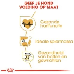 Royal Canin Rottweiler 12 KG 18 Royal Canin Rottweiler 12 KG -Hondenbenodigdheden 1200x1200 698