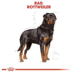 Royal Canin Rottweiler 12 KG 23 Royal Canin Rottweiler 12 KG -Hondenbenodigdheden 1200x1200 701