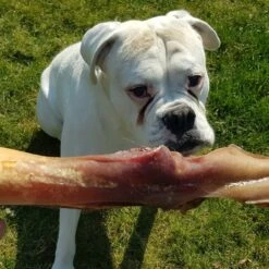 Topdiervoeding Runderkophuid Hondensnacks - Vers Gedroogd - 30cm - 1000 Gram 7 Topdiervoeding Runderkophuid Hondensnacks - Vers Gedroogd - 30cm - 1000 Gram -Hondenbenodigdheden 1200x1200 731