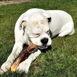 Topdiervoeding Runderkophuid Hondensnacks - Vers Gedroogd - 30cm - 1000 Gram 9 Topdiervoeding Runderkophuid Hondensnacks - Vers Gedroogd - 30cm - 1000 Gram -Hondenbenodigdheden 1200x1200 733