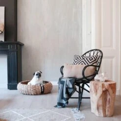 District 70 COCOON - Luxe Hondenmand Van Duurzaam Hoogwaardig Riet Met Zacht Kussen - Maten S/M/L - Large -Hondenbenodigdheden 1200x1200 754