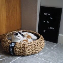 District 70 COCOON - Luxe Hondenmand Van Duurzaam Hoogwaardig Riet Met Zacht Kussen - Maten S/M/L - Large -Hondenbenodigdheden 1200x1200 758