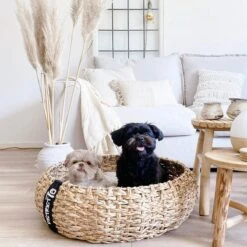 District 70 COCOON - Luxe Hondenmand Van Duurzaam Hoogwaardig Riet Met Zacht Kussen - Maten S/M/L - Large -Hondenbenodigdheden 1200x1200 761