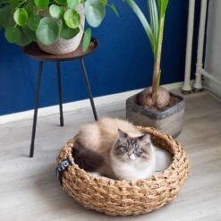 District 70 COCOON - Luxe Hondenmand Van Duurzaam Hoogwaardig Riet Met Zacht Kussen - Maten S/M/L - Large -Hondenbenodigdheden 1200x1200 765