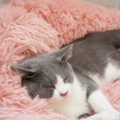 Topmast Fluffy Donut - Dierenmand - Donut Hondenmand - Roze - 50 Cm -Hondenbenodigdheden 1200x1200 770