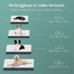 Voorkant -Hondenbenodigdheden 1200x1200 784