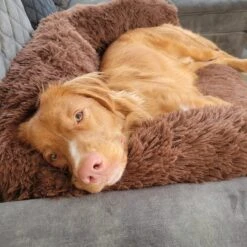 Origineel Hondendeken Voor Bank– Hondenkleed Fluffy – Pluche Hondenbed - Hondenmand Premium - Volledig Afritsbaar -Hondenbenodigdheden 1200x1200 797