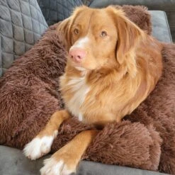 Origineel Hondendeken Voor Bank– Hondenkleed Fluffy – Pluche Hondenbed - Hondenmand Premium - Volledig Afritsbaar -Hondenbenodigdheden 1200x1200 799