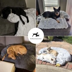 Premium Hondendeken Bank - Hondenkussens - Hondenmand Bank - Hondendeken Voor Op De Bank - Bankbeschermer - Donkergrijs -Hondenbenodigdheden 1200x1200 862