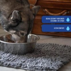 Royal Dry Absorberende Anti-knoeimat Voor Honden – Trekt Vuil Als Een Spons – Laat Geen Vocht Door – 61x45 Cm – Microfiber Chenille – Geschikt Voor Honden En Overige Huisdieren 12 Royal Dry Absorberende Anti-knoeimat Voor Honden – Trekt Vuil Als Een Spons – Laat Geen Vocht Door – 61x45 Cm – Microfiber Chenille – Geschikt Voor Honden En Overige Huisdieren -Hondenbenodigdheden 1200x1200 881