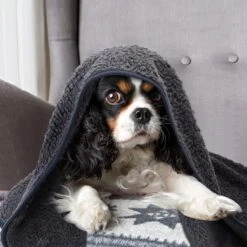 Nobleza 40UWK Hondendeken - Dierenmat - Benchkleed - 120x100cm - Grijs -Hondenbenodigdheden 1200x1200 886