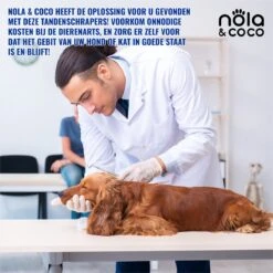 Nola & Coco® Tandsteen Verwijderaar Set Inclusief Bewaardoosje - Tandenkrabber - Set Van Twee - Hond - Kat - Tandenborstel - Tandplak Verwijderen - Tandenstoker - Honden Tanden Schoonmaken - Tandenhaakje - Gebitsreiniging -Hondenbenodigdheden 1200x1200 910