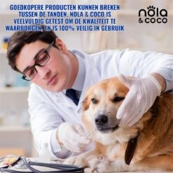 Nola & Coco® Tandsteen Verwijderaar Set Inclusief Bewaardoosje - Tandenkrabber - Set Van Twee - Hond - Kat - Tandenborstel - Tandplak Verwijderen - Tandenstoker - Honden Tanden Schoonmaken - Tandenhaakje - Gebitsreiniging -Hondenbenodigdheden 1200x1200 911