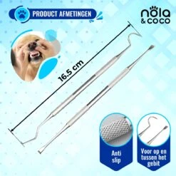 Nola & Coco® Tandsteen Verwijderaar Set Inclusief Bewaardoosje - Tandenkrabber - Set Van Twee - Hond - Kat - Tandenborstel - Tandplak Verwijderen - Tandenstoker - Honden Tanden Schoonmaken - Tandenhaakje - Gebitsreiniging -Hondenbenodigdheden 1200x1200 912
