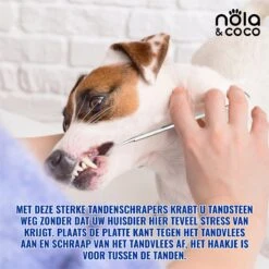 Nola & Coco® Tandsteen Verwijderaar Set Inclusief Bewaardoosje - Tandenkrabber - Set Van Twee - Hond - Kat - Tandenborstel - Tandplak Verwijderen - Tandenstoker - Honden Tanden Schoonmaken - Tandenhaakje - Gebitsreiniging -Hondenbenodigdheden 1200x1200 913