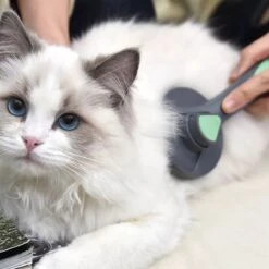 Pakeway Kattenborstel – Hondenborstel – Haarverwijderaar Voor Huisdieren – Kattenkam - Kortharig - Langharig - Inclusief Ebook! 10 Pakeway Kattenborstel – Hondenborstel – Haarverwijderaar Voor Huisdieren – Kattenkam - Kortharig - Langharig - Inclusief Ebook! -Hondenbenodigdheden 1200x1200 99