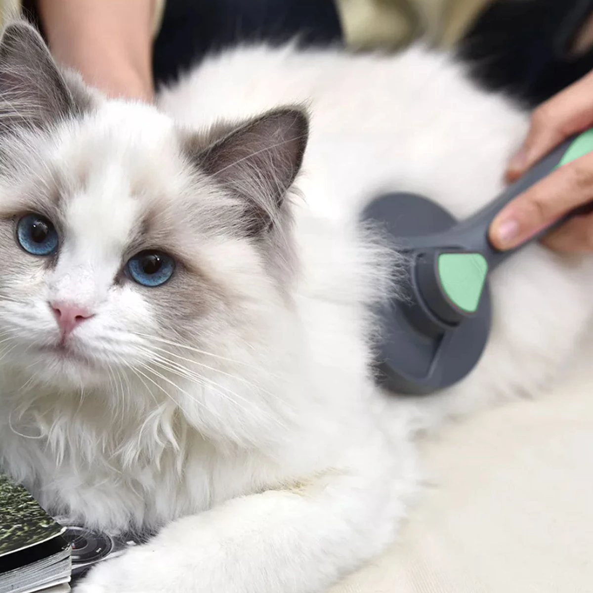 Pakeway Kattenborstel – Hondenborstel – Haarverwijderaar Voor Huisdieren – Kattenkam - Kortharig - Langharig - Inclusief Ebook! 4 Pakeway Kattenborstel – Hondenborstel – Haarverwijderaar Voor Huisdieren – Kattenkam - Kortharig - Langharig - Inclusief Ebook! - Afbeelding 4