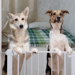 Nobleza 47B4V - Hondenhek - Metaal - H76 X L75-82 Cm - Wit -Hondenbenodigdheden 1200x1200 993