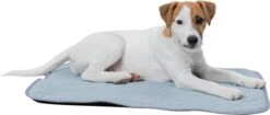 Trixie Junior Ligmat Fresh Lichtblauw - 60X50 CM -Hondenbenodigdheden 1200x512
