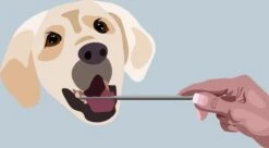 AE Dogz Tandsteenverwijderaar/Tandenkrabber 6 AE Dogz Tandsteenverwijderaar/Tandenkrabber -Hondenbenodigdheden 1200x663 3