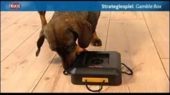 Trixie Dogtoy Dog Activity Strategy Game Gamble Box - Piepend Speelgoed - 15cm X 15cm X 9cm - Zwart/rood/oranje -Hondenbenodigdheden 1200x675 5