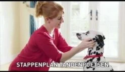 Beaphar Tandenborstel -Hondenbenodigdheden 1200x697 2