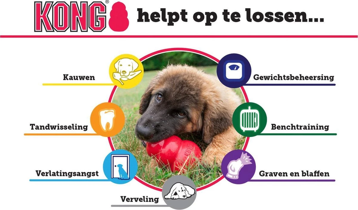 Kong Puppy - Hondenspeelgoed - Assorti - M 13 Kong Puppy - Hondenspeelgoed - Assorti - M - Afbeelding 13